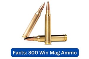 Quick Facts of 300 Win Mag Ammo