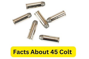 Quick Facts of 45 Colt Ammo