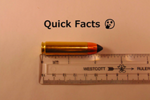 Quick Facts of 450 Bushmaster Ammo