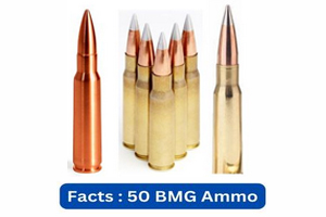Quick Facts of 50 BMG Ammo