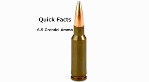 Quick Facts of 6.5 Grendel Ammo