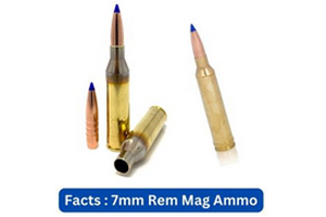 Quick Facts 7mm Rem Mag Ammo