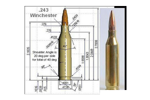 Specifications of 243 Winchester