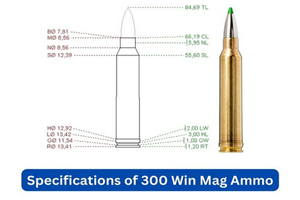 Specifications 300 Win Mag Ammo