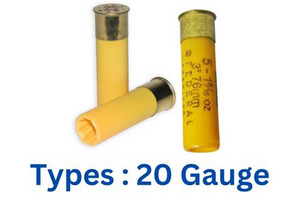 20 Gauge Ammo Types