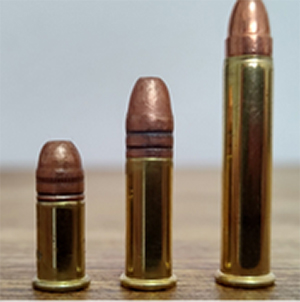 Types of 22LR Ammo