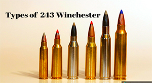 Types of 243 Win Ammo