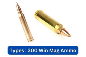 300 Win Mag Ammo Types