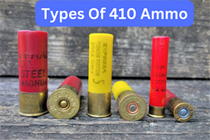 Types of 410 Ammo