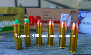 Types of 450 Bushmaster Ammo