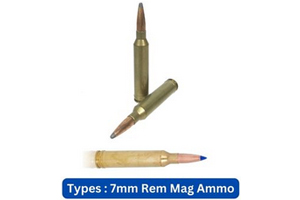 Types 7mm Rem Mag Ammo
