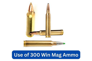 Uses of 300 Win Mag Ammo