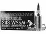 243 wssm