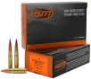 HSM  -  Match  300 AAC Blackout 208 Grain Spitzer Boat Tail  - 20RD Box - 300BLK1N