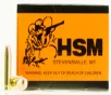 HSM 10MM2N Training 10mm Auto 180 gr Full Metal   