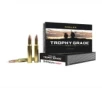 Nosler 46134 Trophy Grade 30-06 Springfield 180 gr   