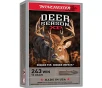 Winchester Deer Season XP  243 Winchester 95-Grain Rifle Ammunition - 20 Rounds