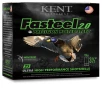 Fasteel 2 0 12 Gauge BB Shot 3 Inch Ammo 25 Rounds