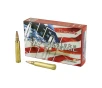 Hornady American Whitetail 300 Winchester Magnum 180 Grain Interlock Ammunition 20 Rounds