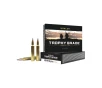 Nosler Trophy Grade 300 Winchester Magnum 200 Grain PT Ammunition 20 Rounds