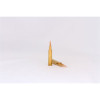 HSM Trophy Gold Rifle Ammunition 6mm Remington Berger 95 gr  20 rd 