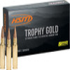HSM Trophy Gold Rifle Ammunition 338 Lapua Mag  Berger 300 gr  20 rd 