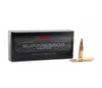 Barnes Suppressor Series 300 Blackout Subsonic 205 Grain Sierra GameKing 1060 FPS
