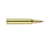 Nosler  300 Winchester Mag 60126 Trophy Grade Nosler Spitzer AccuBond Long Range 190 Grain 2870 FPS