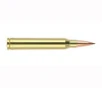 Nosler Trophy Grade Long Range Rifle Ammunition 300 WSM 190 gr  ABLR SP 20 rd