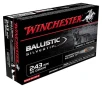 Winchester Ballistic Silvertip Fragmenting Polymer Tip 55 Grain  243 Winchester 3910 fps 020892210189