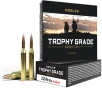 Nosler Trophy Grade Nosler AccuBond 90 Grain  243 Winchester 3100 fps 054041482639