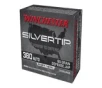 WIN SILVERTIP HP 380AUTO 85GR 20 200