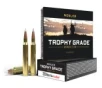 NOSLER TG 223REM 70GR AB 20 200