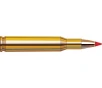 SUPERFORMANCE VARMINT 243 WINCHESTER VMAX POLYMER TIP RIFLE AMMO