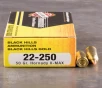 20rds - 22-250 Black Hills Gold 50gr  V-Max Polymer Tip Ammo