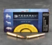 20rds     308 Federal Power-Shok 180gr  Soft Point Ammo