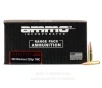 Ammo Inc  stelTH 300 AAC Blackout Ammo - 200 Rounds of 220 Grain   