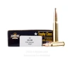 Armscor USA 30-06 Ammo - 200 Rounds of 150 Grain PSP Ammunition