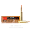 Hornady 30-06  Ammo - 20 Rounds of 125 Grain SST Ammunition