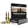 Nosler Trophy Grade 308 Winchester 165 Grain Nosler Spitzer Partition  20 Rounds 