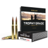 Nosler Trophy Grade 30-06 Springfield 165 Grain Nosler AccuBond  20 Rounds 