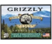 Grizzly  357 Sig 125gr FMJ Flat Point Ammo  20 Rounds 