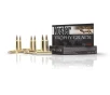 Nosler 60101 Trophy Grade Long Range 308 Win 168 gr AccuBond Long Range 20 Bx  10 Cs