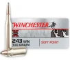 Winchester Ammo X2432 Super-X  243 Win 100 gr Power-Point  PP  20 Bx  10 Cs