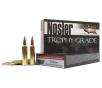 Nosler 60105 Trophy Grade Long Range 6 5 Creedmoor 142 gr AccuBond 20 Bx  10 Cs