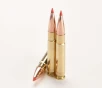 300 Blackout   110gr Hornady V-MAX 2350 FPS - 16in Barrel   20 Box