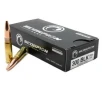 SCORPION 300 BLACKOUT 200GR SUNSONIC 20RD 20BX CS