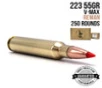 223 - 55GR - V-MAX - REMAN - CASE - 250