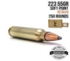 223 - 55GR - SP - REMAN - CASE - 250