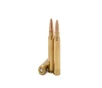 Classic Match   5 56mm   55GR FMJ